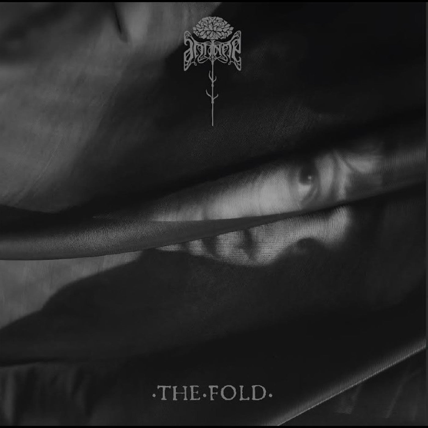 The Fold [Vinyl] Vinyl Record