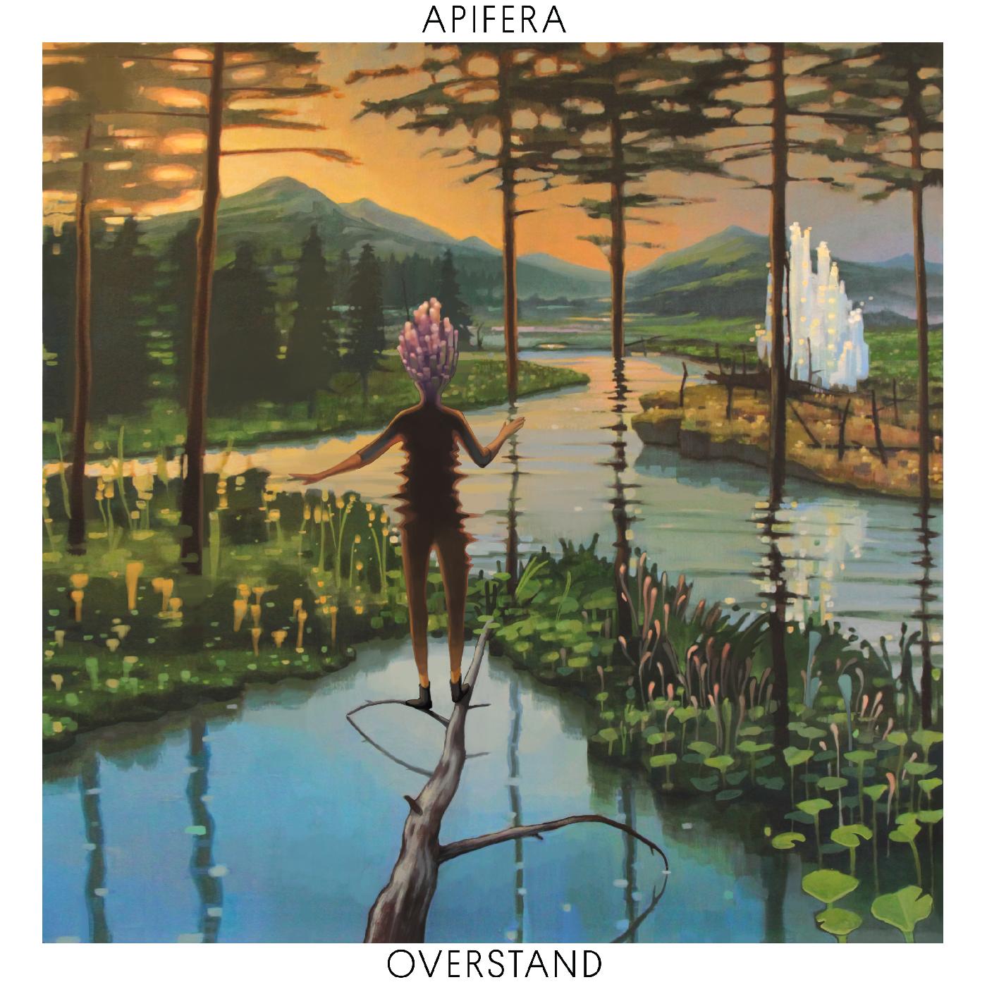 Overstand Vinyl Record