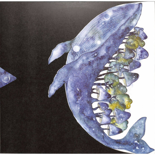 2nd Dance Vinyl Record