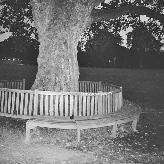 Archy Marshall - A New Place 2 Drown Vinyl Record