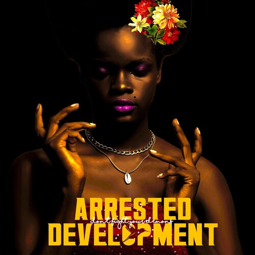 Arrested Development - Don't Fight Your Demons (2 Lp's) Vinyl Record
