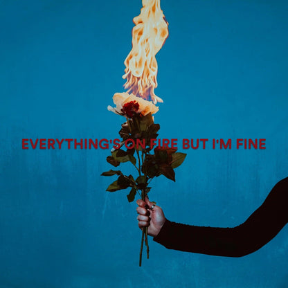 Everything's On Fire But I'm Fine [Explicit Content] (Red Marble Colored Vinyl)  Vinyl Record