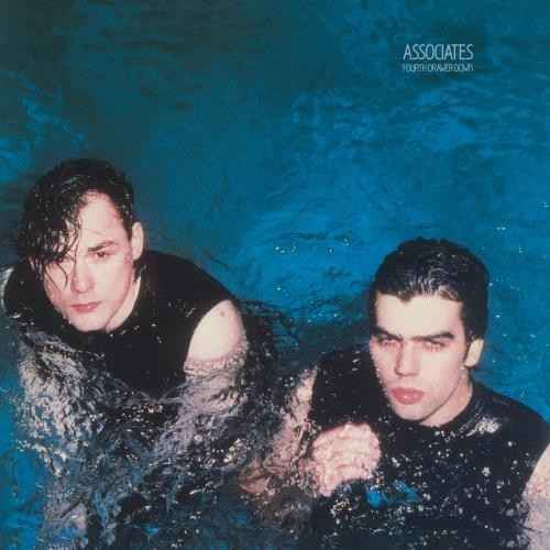 Associates - Fourth Drawer Down (180G) [Silver Vinyl] [Vinyl] Vinyl Record