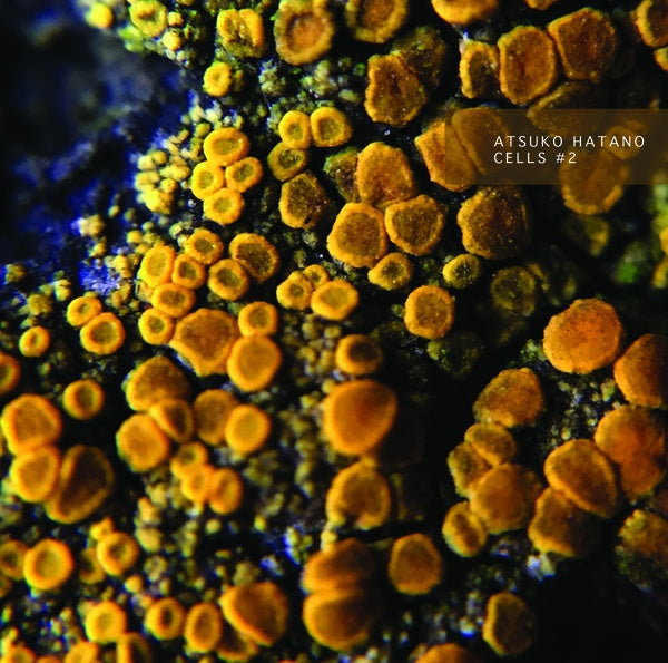 ATSUKO HATANO - Cells #2 Cassette Tape