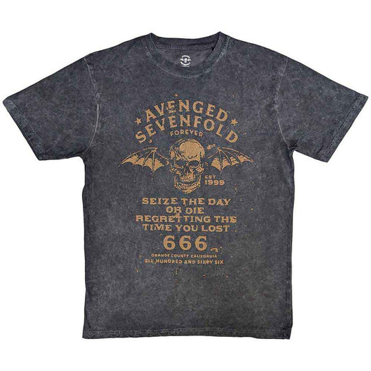 Avenged Sevenfold Seize The Day
