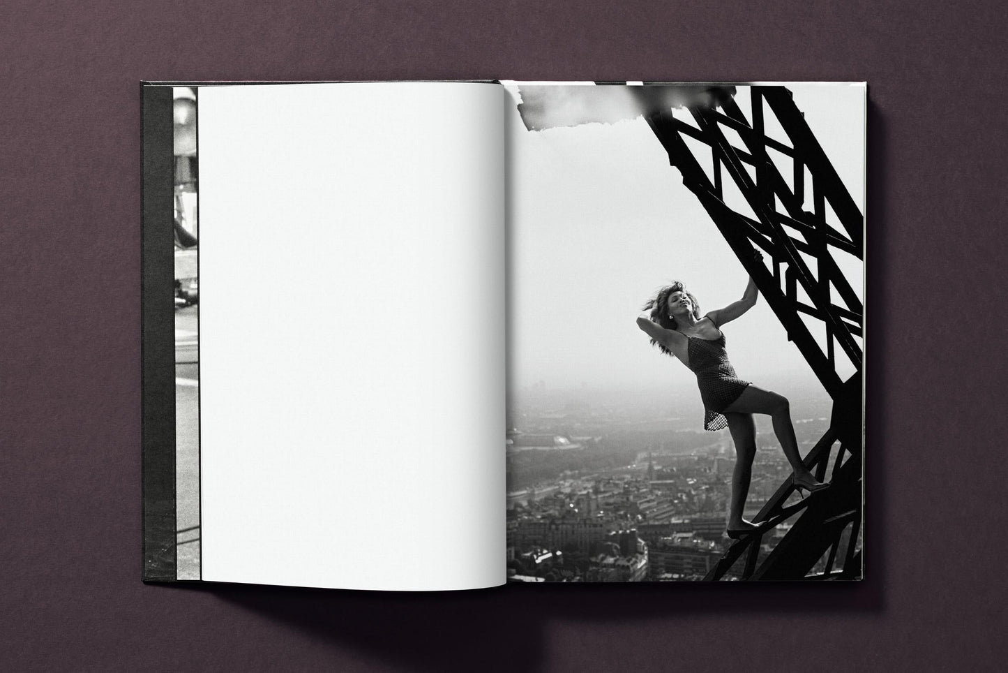 Tina Turner by Peter Lindbergh (German, French, English) Book