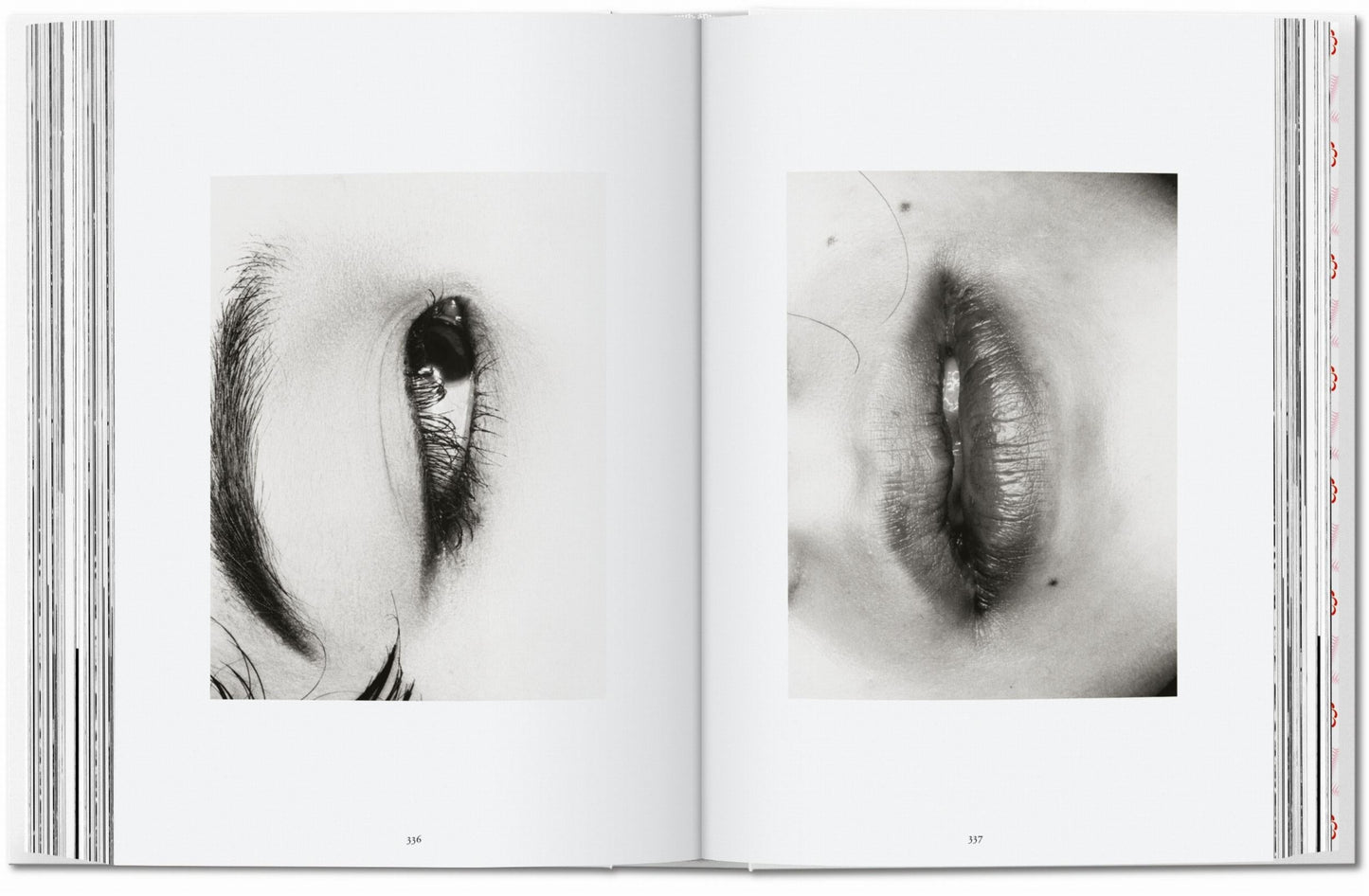 Araki. 45th Ed. (German, French, English) Book