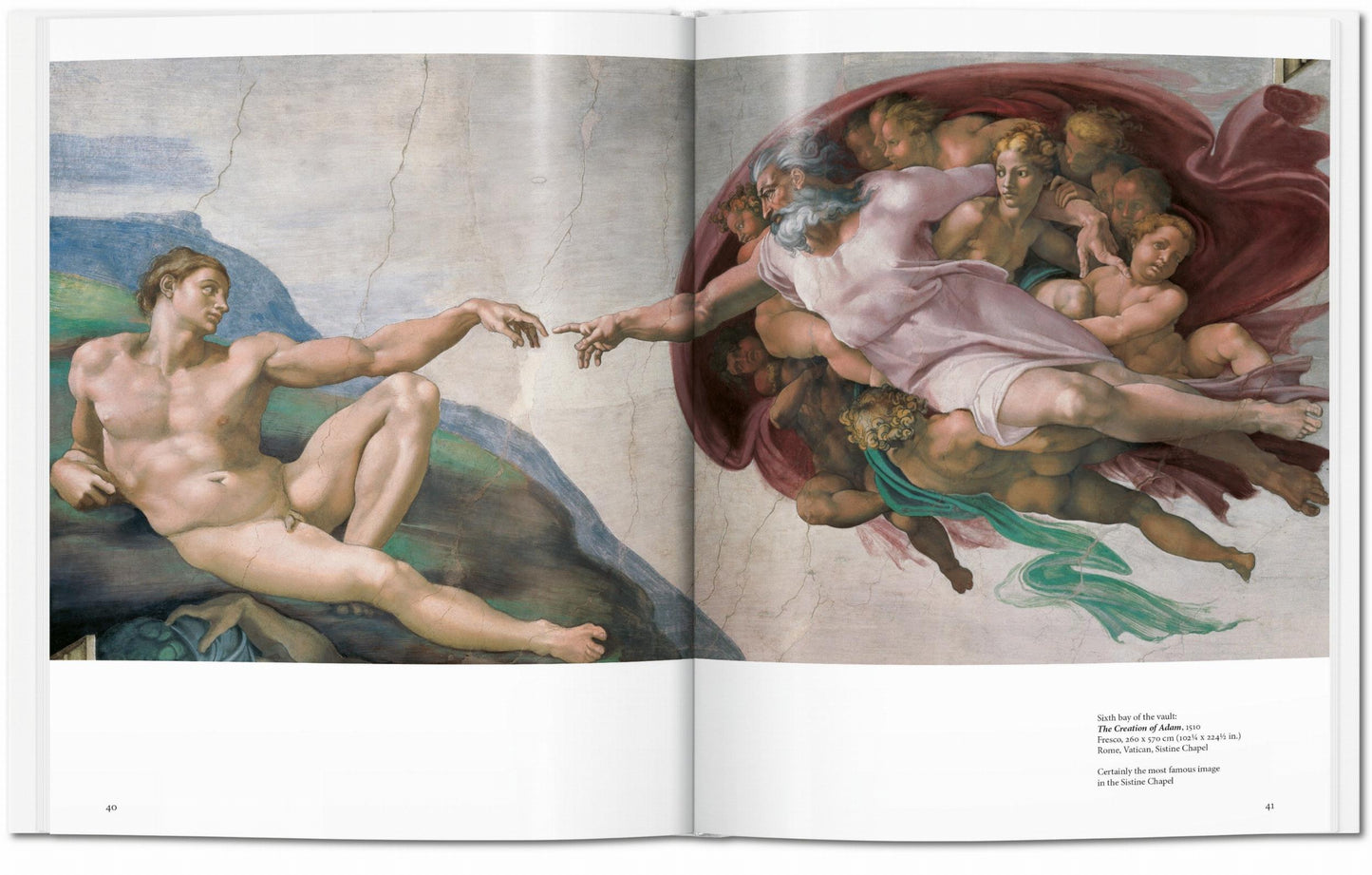 Michelangelo (English) Book