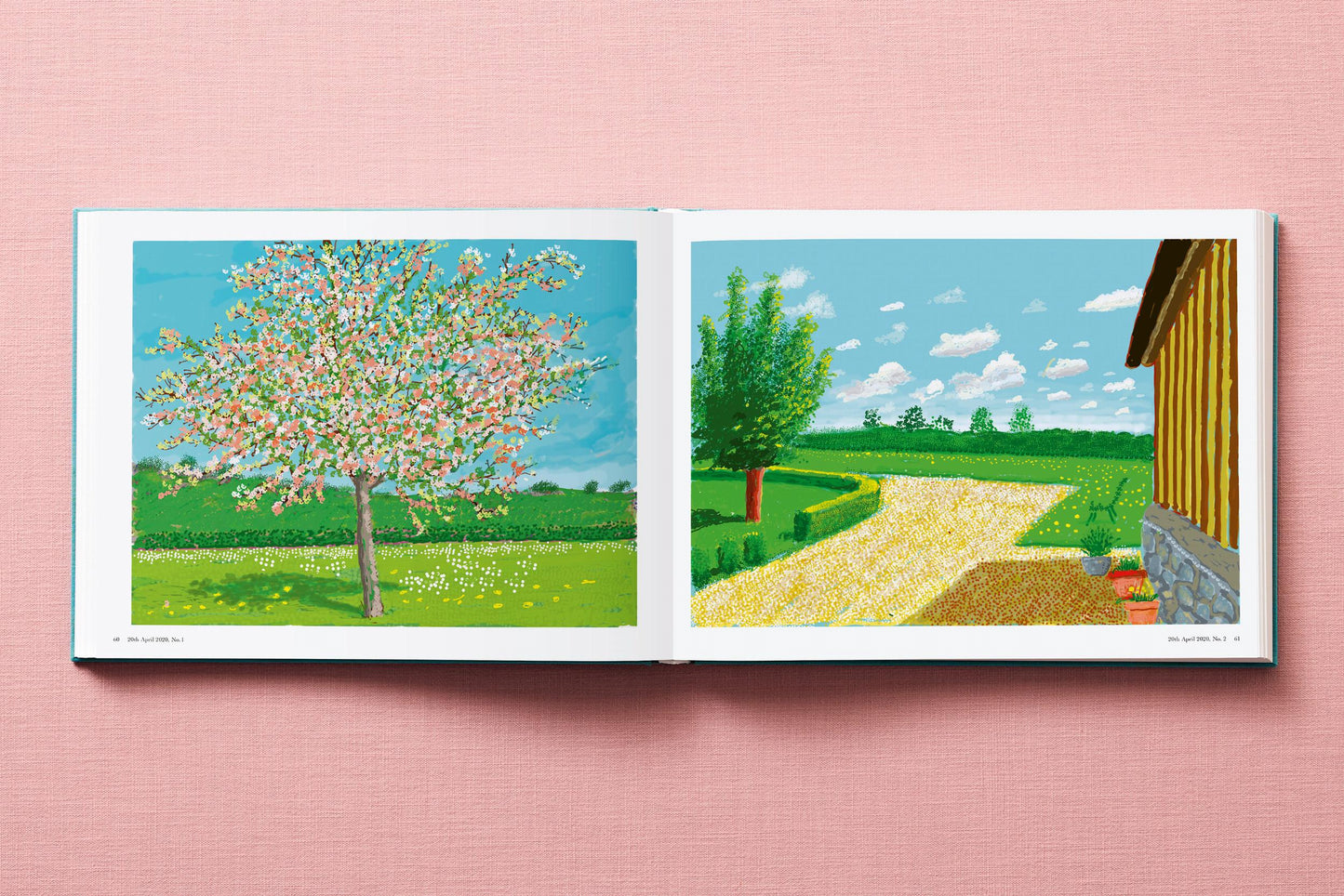David Hockney. 220 for 2020 (English) Book
