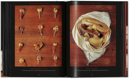 Anatomical Waxes. 45th Ed. (German, French, English) Book