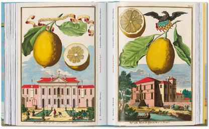 J. C. Volkamer. The Book of Citrus Fruits. 45th Ed. (German, French, English) Book