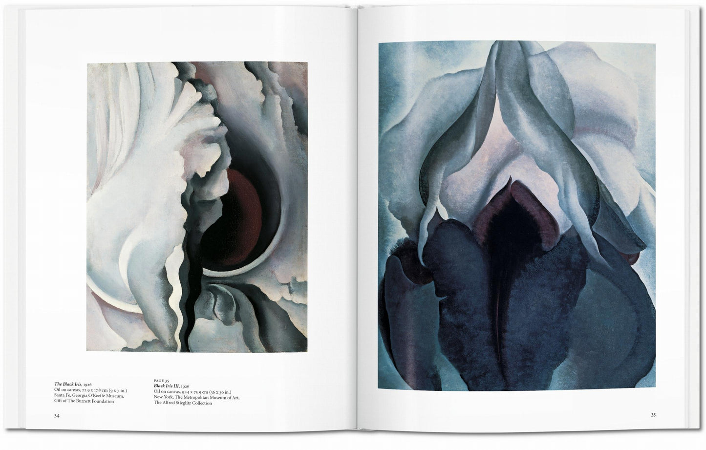 O'Keeffe (English) Book