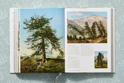 The Alps 1900. A Portrait in Color (German, French, English) Book