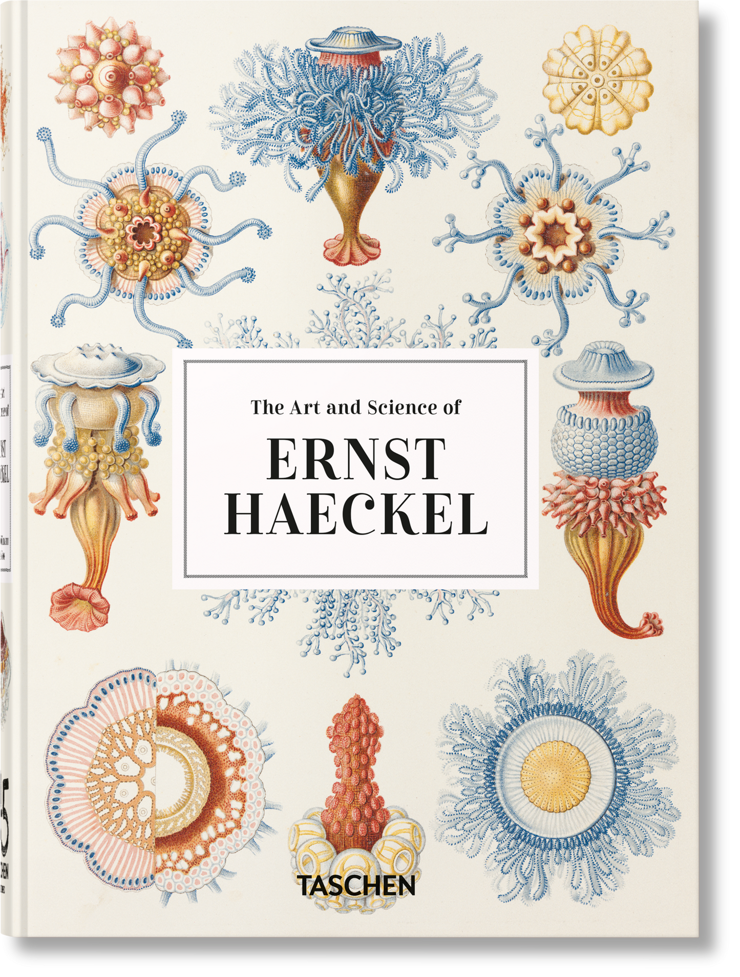 The Art and Science of Ernst Haeckel. 45th Ed. (English) Book