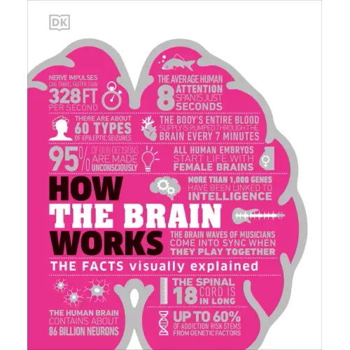 How the Brain Works: The Facts Visually Explained