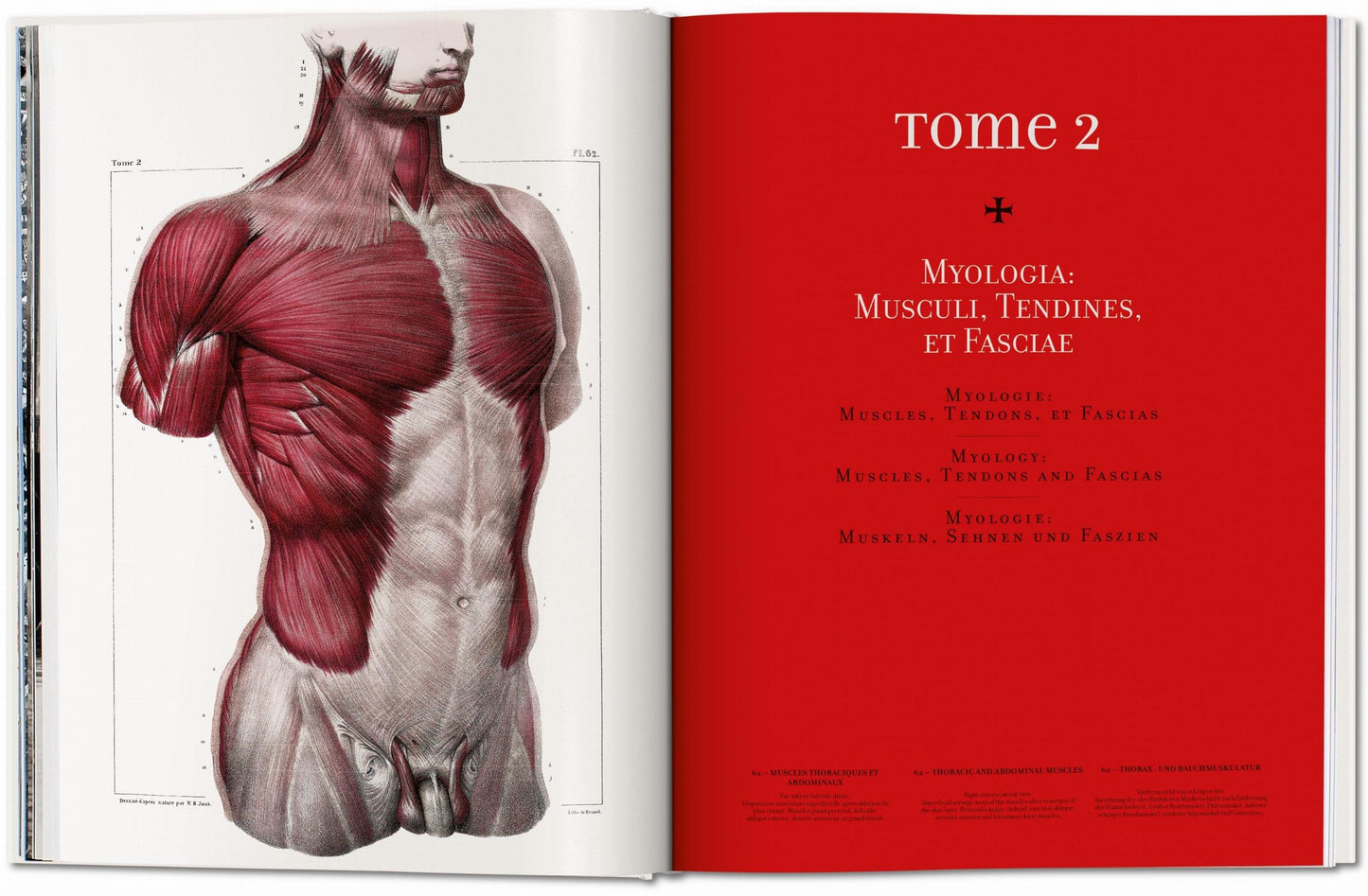 Bourgery. Atlas of Human Anatomy and Surgery (German, French, English) Book