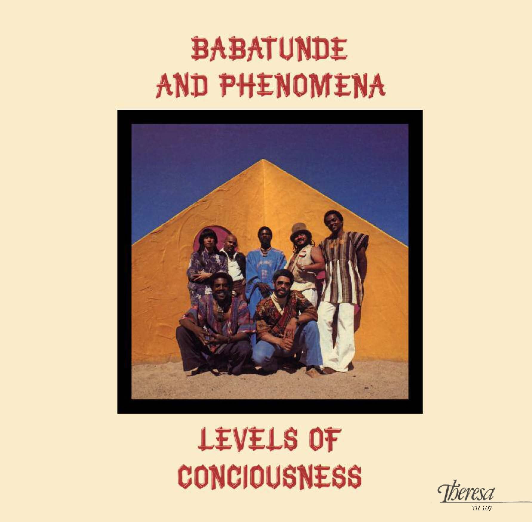 Levels Of Consciousness Vinyl Record