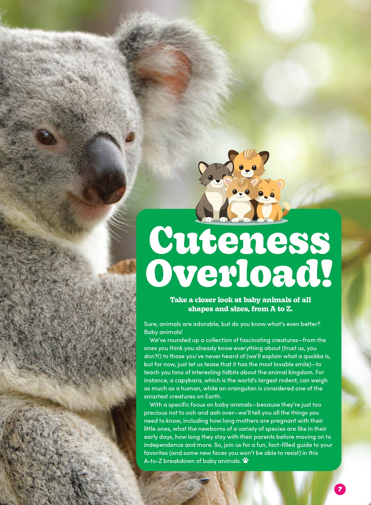 Baby Animals - The Ultimate A To Z Guide: Discover Fascinating Facts About The World's Cutest Creatures, Learn About Various Species' Growth & Development! Plus Coloring Pages, Puzzles, Games & More!