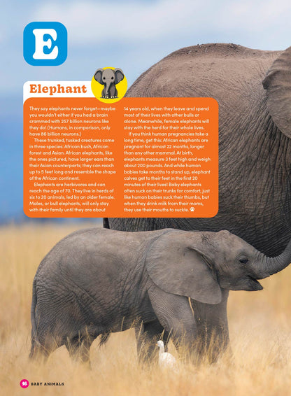 Baby Animals - The Ultimate A To Z Guide: Discover Fascinating Facts About The World's Cutest Creatures, Learn About Various Species' Growth & Development! Plus Coloring Pages, Puzzles, Games & More!