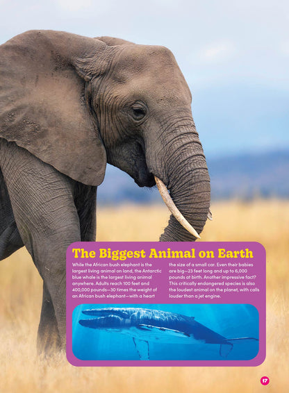 Baby Animals - The Ultimate A To Z Guide: Discover Fascinating Facts About The World's Cutest Creatures, Learn About Various Species' Growth & Development! Plus Coloring Pages, Puzzles, Games & More!