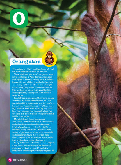 Baby Animals - The Ultimate A To Z Guide: Discover Fascinating Facts About The World's Cutest Creatures, Learn About Various Species' Growth & Development! Plus Coloring Pages, Puzzles, Games & More!