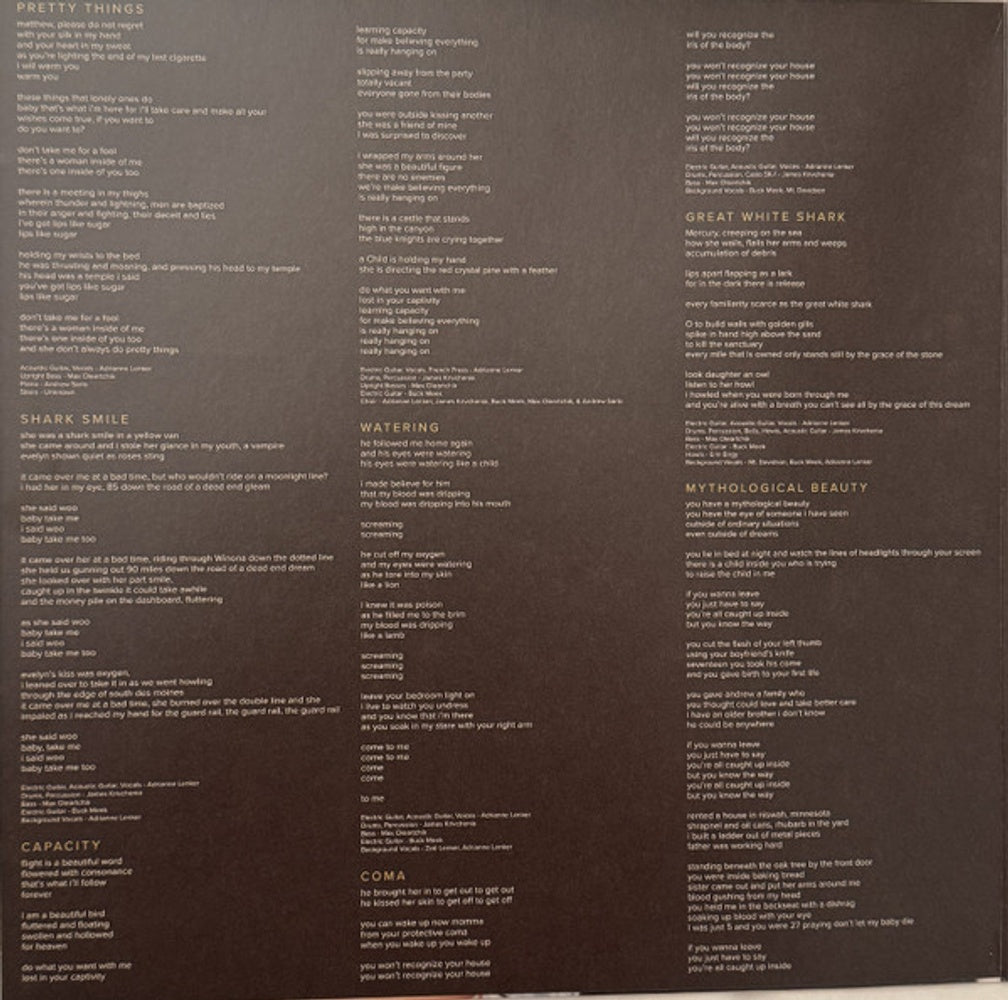 Big Thief – Capacity (LP Vinyl) Vinyl Record