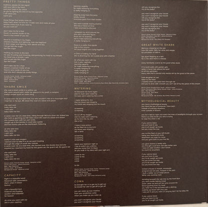 Big Thief – Capacity (LP Vinyl) Vinyl Record