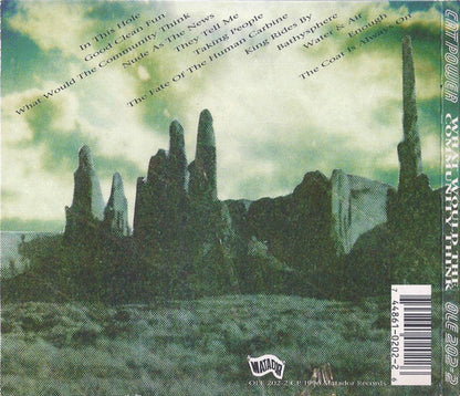 Cat Power – What Would the Community Think Music CD