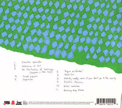 Courtney Barnett – Sometimes I Sit & Think & Sometimes I Just Sit Music CD