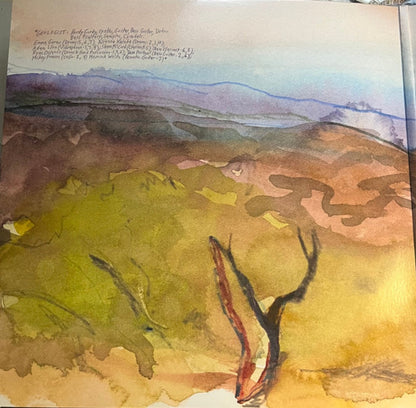 Geologist – Can I Get A Pack Of Camel Lights (2-LP Vinyl) Vinyl Record