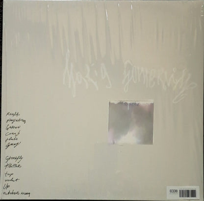 Maria Somerville – Luster (LP Vinyl) Vinyl Record