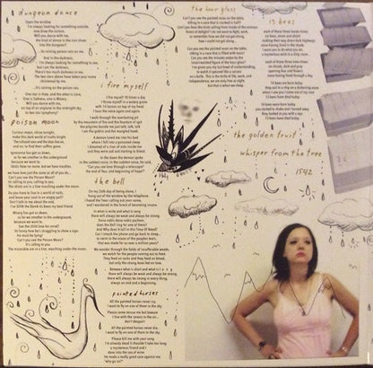 Mary Timony – Mountains (2-LP Vinyl) Vinyl Record