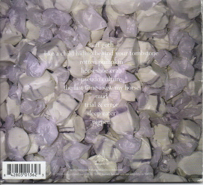 Slothrust – Everyone Else Music CD