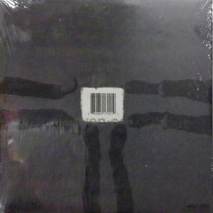 The Whigs – In The Dark (LP Vinyl) Vinyl Record