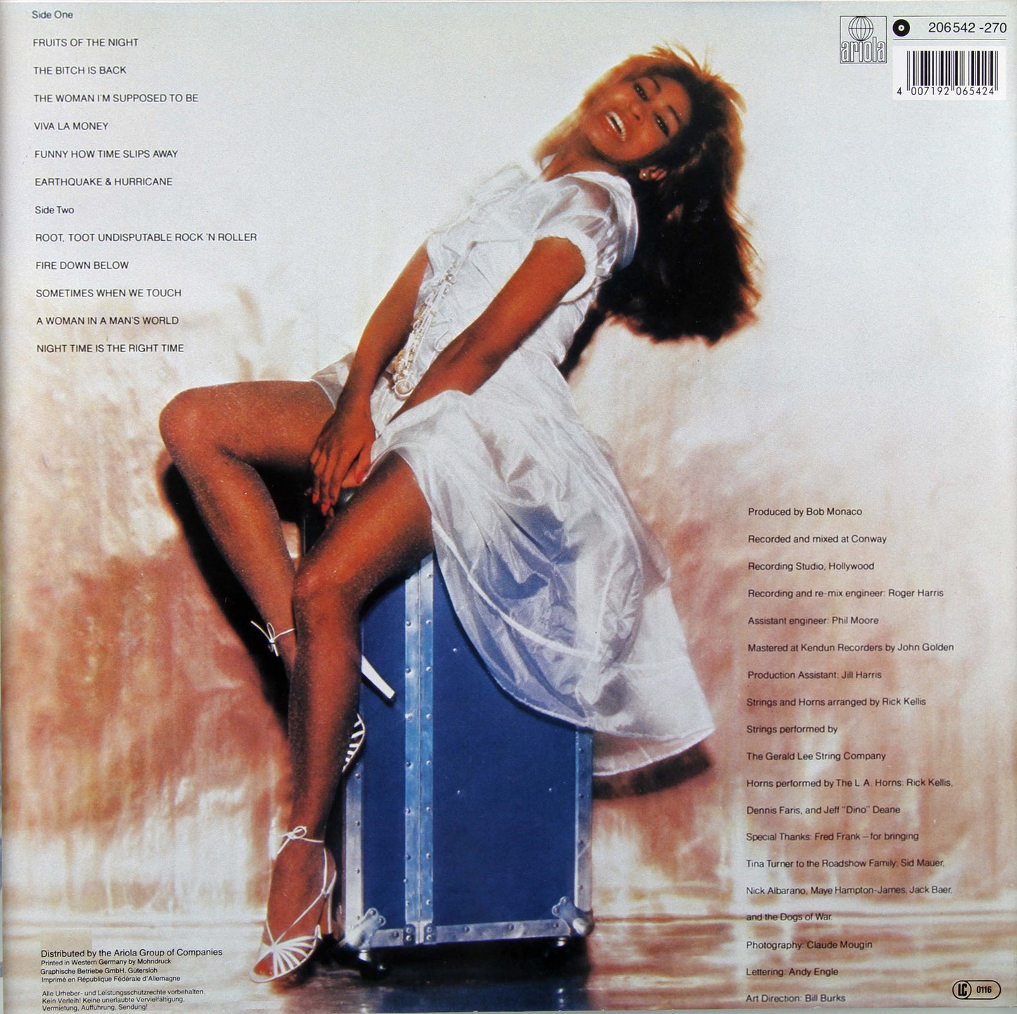Tina Turner – Rough (LP Vinyl) Vinyl Record