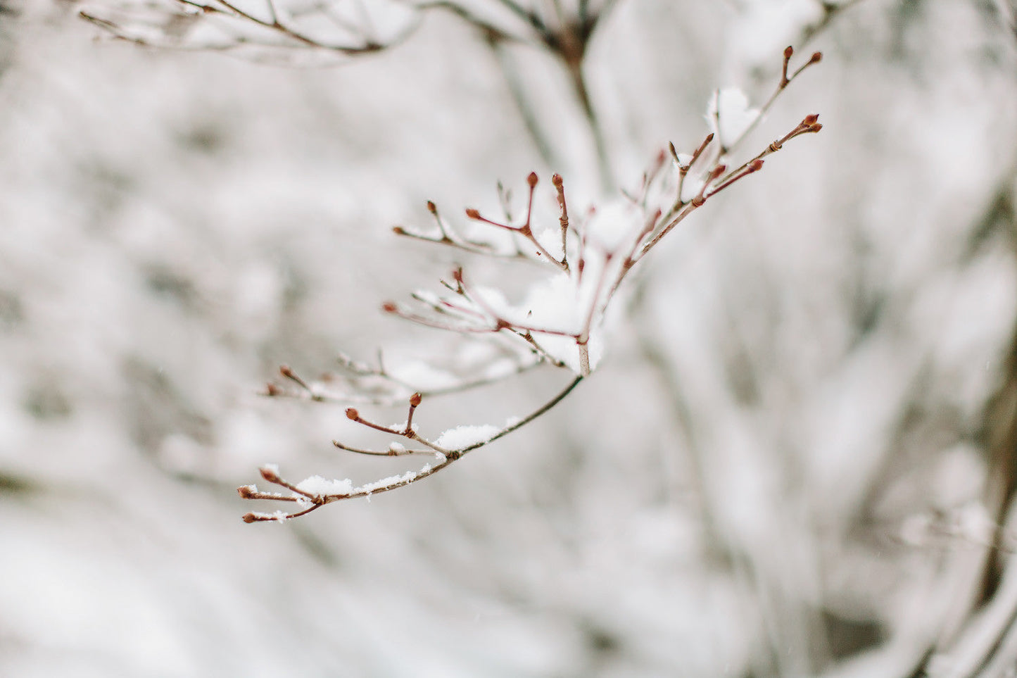 Capture Greater Lehigh Valley: The Best of the Lehigh Valley in Photography Book