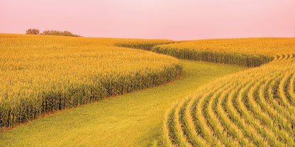 Capture Minnesota II: Minnesota Through the Eyes of Minnesota Photographers Book