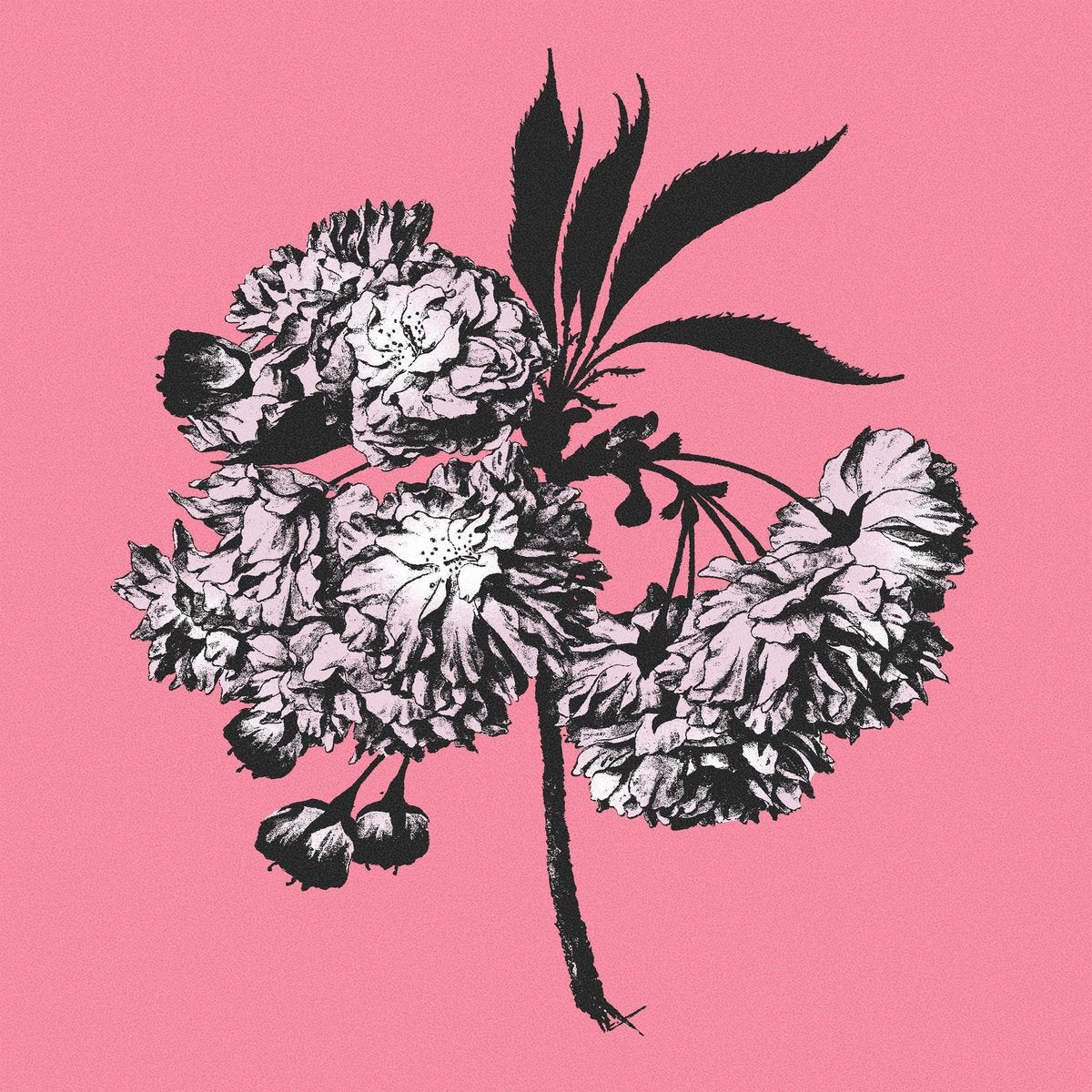 Battosai - Lagrimas Y Milagros [Colored Vinyl] (Spa) Vinyl Record Album Cover