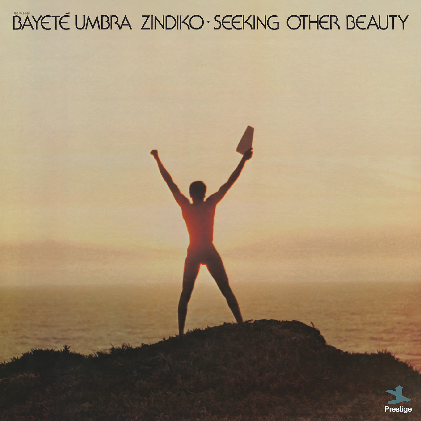 Seeking Other Beauty (All-Analog) Vinyl Record