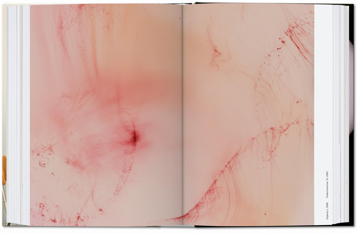 Wolfgang Tillmans. four books. 45th Ed. (English) Book