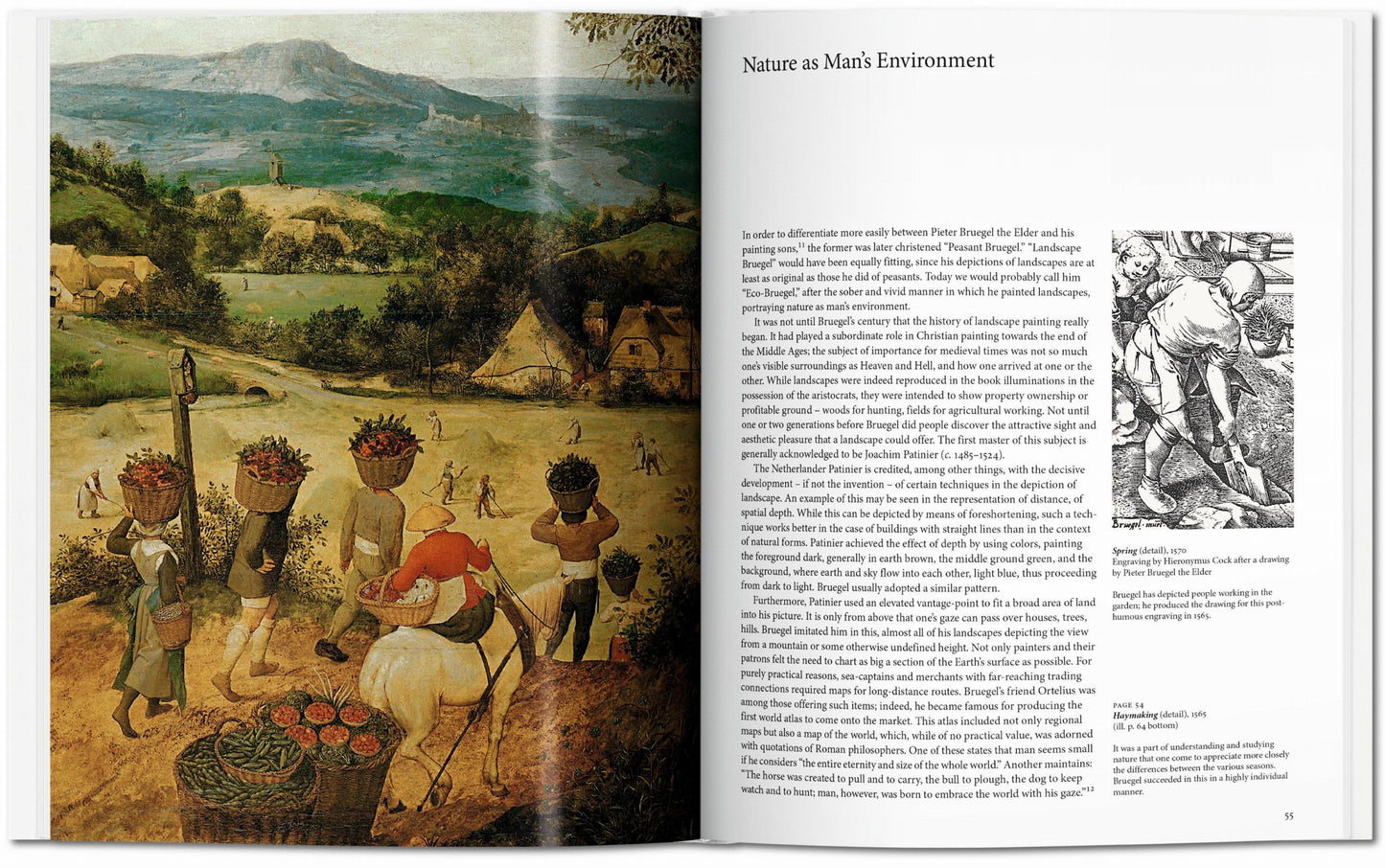 Bruegel (English) Book