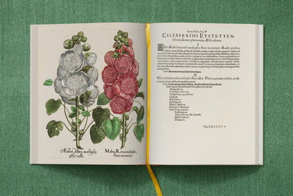 Basilius Besler. The Garden at Eichstätt (German, French, English) (FFE) Book