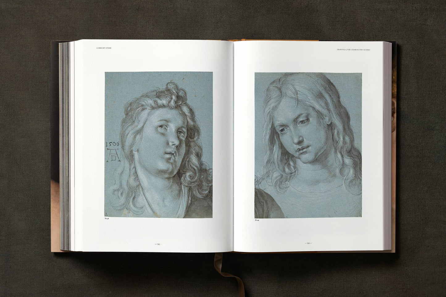 Albrecht Dürer. The Complete Paintings. Selected Drawings and Prints (English) Book