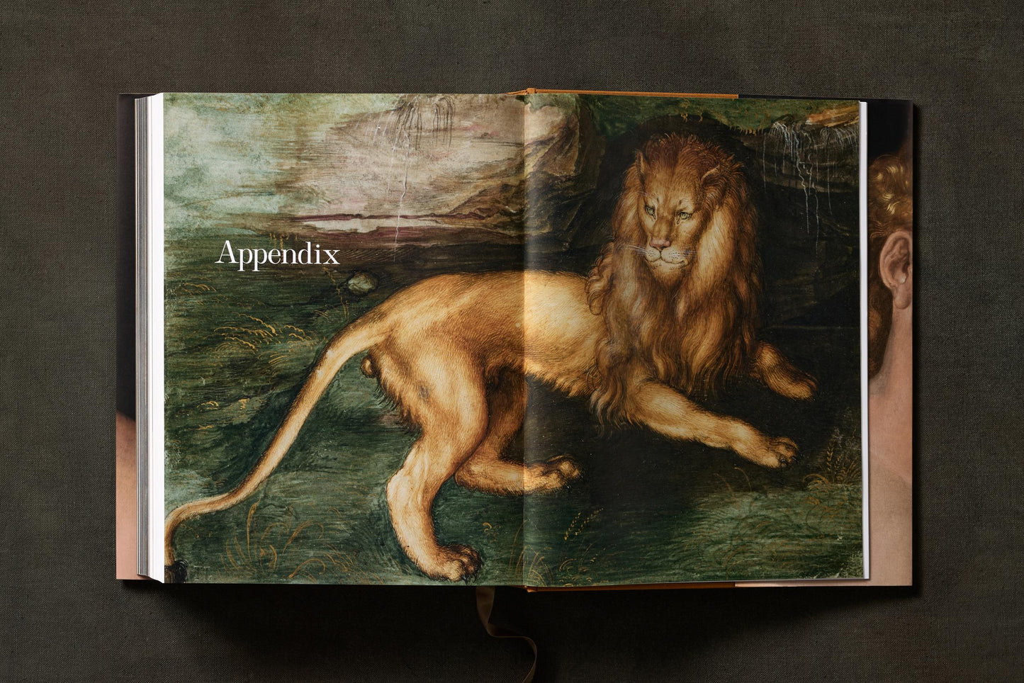 Albrecht Dürer. The Complete Paintings. Selected Drawings and Prints (English) Book