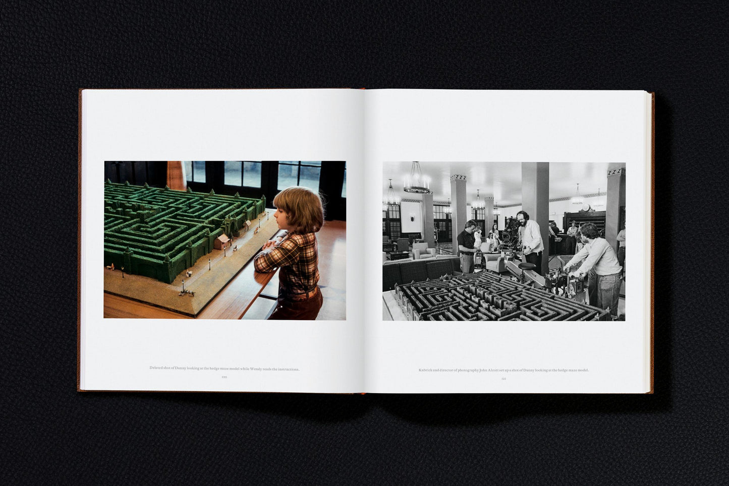 Stanley Kubrick's The Shining (English) Book