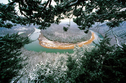 Connecting with Nature: Portraits and Essays on Nature and Man Book