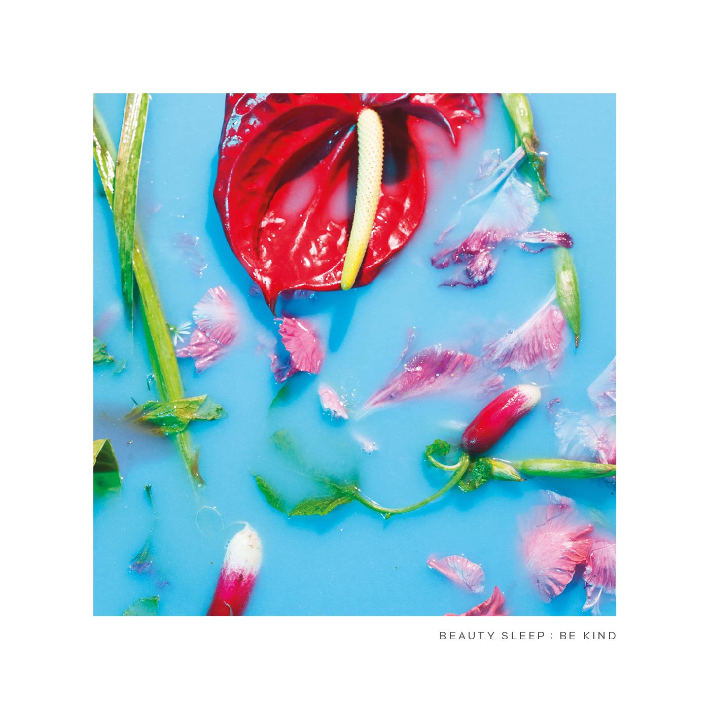 Beauty Sleep - Be Kind Vinyl Record