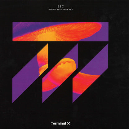 Psilocybin Therapy Vinyl Record