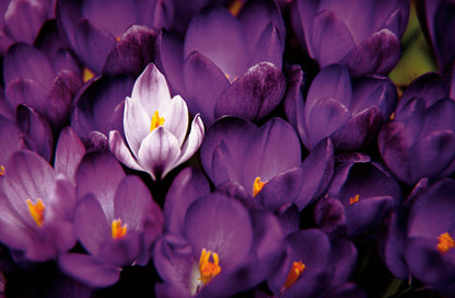 Capture Greater Lehigh Valley: The Best of the Lehigh Valley in Photography Book