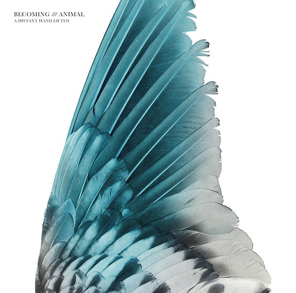 BECOMING ANIMAL - A Distant Hand Lifted Vinyl Record